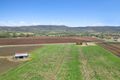 Property photo of 1031 Mount Sylvia Road Caffey QLD 4343