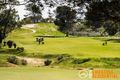 Property photo of 38 Cave Loop Yanchep WA 6035