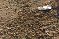 Property photo of 3241 Channel Highway Woodbridge TAS 7162