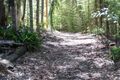 Property photo of 67 Pine Mountain Quarry Road Pine Mountain QLD 4306