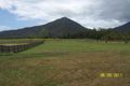 Property photo of 17 Pyramid Close Gordonvale QLD 4865