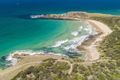 Property photo of 20 Sunshine Circuit Emerald Beach NSW 2456