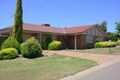 Property photo of 9 Robinia Court Sheidow Park SA 5158