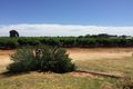 Property photo of 3-536 Defontenay Road Barmera SA 5345