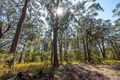 Property photo of 50 Eungella Lane Cedar Brush Creek NSW 2259