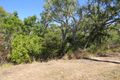 Property photo of 91 Pitcain Avenue Bowen QLD 4805