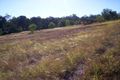 Property photo of 11 Hein Court Regency Downs QLD 4341