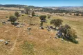Property photo of 1432 Pine Mount Road Darbys Falls NSW 2793