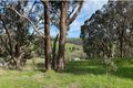Property photo of 26 Sunridge Drive Bridgetown WA 6255