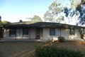 Property photo of 14 Sandercock Street Berri SA 5343