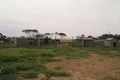 Property photo of LOT 24 South Terrace Murdinga SA 5607