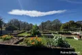 Property photo of 36 Sturgiss Road Sassafras NSW 2622