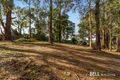 Property photo of 18 Upper Grieve Road Avonsleigh VIC 3782