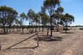 Property photo of 37 Palmer Road Neilborough VIC 3570