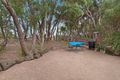 Property photo of 31 Iolanda Street Rye VIC 3941