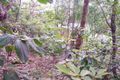 Property photo of 14 Cedar Drive Stapylton QLD 4207