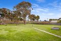 Property photo of 31 Nicholas Street Higgins ACT 2615