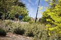 Property photo of 6/26 Darebin Road Northcote VIC 3070