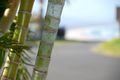 Property photo of 25 Vista Way Scotts Head NSW 2447