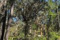 Property photo of 19 Nardoo Street Pindimar NSW 2324