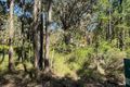 Property photo of 19 Nardoo Street Pindimar NSW 2324
