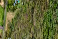 Property photo of 8 Everett Place Annangrove NSW 2156