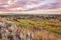 Property photo of 88 Bajamalu Drive Baynton WA 6714