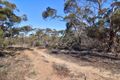 Property photo of 34 High Street Alawoona SA 5311