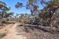 Property photo of 34 High Street Alawoona SA 5311