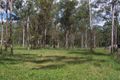 Property photo of 42 Davison Road Camp Mountain QLD 4520
