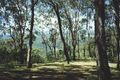 Property photo of 3 Dorge Street Middle Ridge QLD 4350