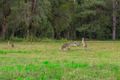 Property photo of 267 Fraser Road Beerwah QLD 4519