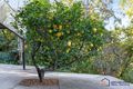 Property photo of 141 Donnelly Road Arcadia Vale NSW 2283