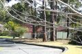 Property photo of 23 Dalgety Crescent Green Point NSW 2251