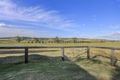 Property photo of 8 Pagan Street Jerrys Plains NSW 2330
