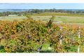 Property photo of 45 Aldinga Road Willunga SA 5172