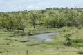 Property photo of 172 Stevens Road Dallarnil QLD 4621