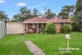 Property photo of 17 Cumberland Road Ingleburn NSW 2565