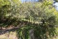 Property photo of 74 Old Belgrave Road Upper Ferntree Gully VIC 3156