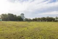 Property photo of 49 Lisadell Road Medowie NSW 2318