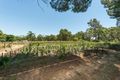 Property photo of 784 Welshpool Road East Wattle Grove WA 6107