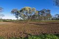 Property photo of 2 Dudley Court Roseworthy SA 5371