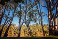 Property photo of 256 River Street Corowa NSW 2646