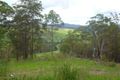 Property photo of 1363 Hickeys Creek Road Millbank NSW 2440