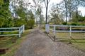 Property photo of 7 Sheoak Place Cedar Grove QLD 4285