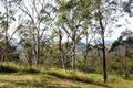 Property photo of 8 Manooka Court Rangeville QLD 4350