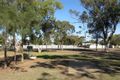 Property photo of 38 Goan Street Trangie NSW 2823