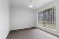 Property photo of 11 Foxtail Court Gympie QLD 4570