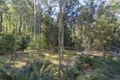 Property photo of 20 Burri Palm Way Surfside NSW 2536