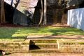 Property photo of 44 Kent Street Millers Point NSW 2000